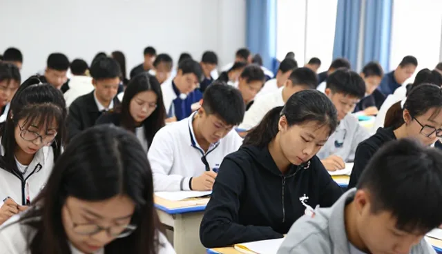 培训体系优化助力学习效率提升的实践路径